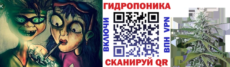 Канабис THC 21%  Иннополис 